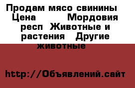 Продам мясо свинины › Цена ­ 270 - Мордовия респ. Животные и растения » Другие животные   
